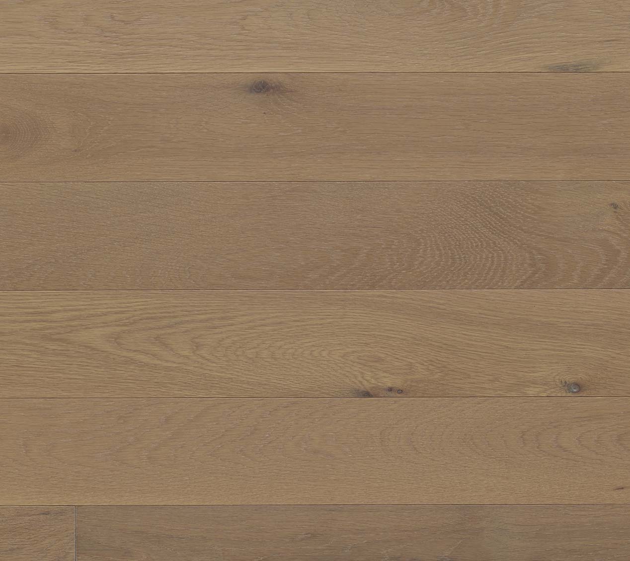 White Oak Dosuti